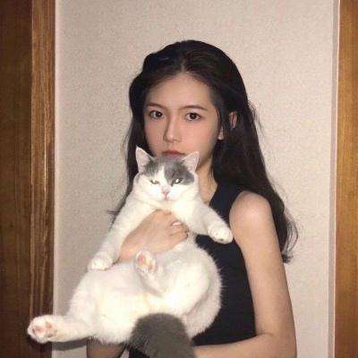 特工计划手机版下载